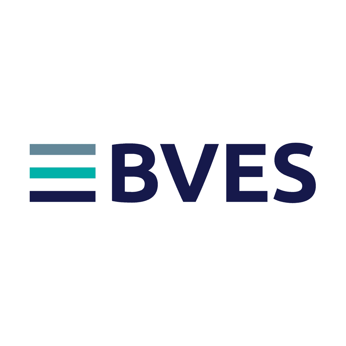 BVES logo
